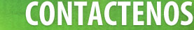 Contactenos
